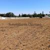 Parcela de 6.300 m2 con Casa a Reformar, Callejón Borreguito. Chiclana. Inversión junto Hotel Fuentemar